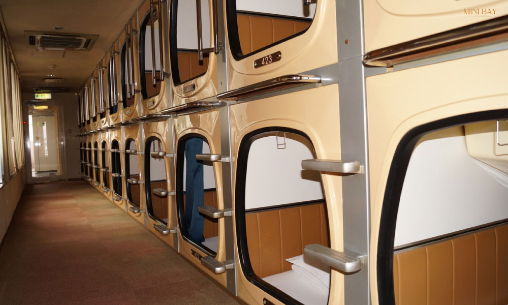 Capsule Hotel (Khách sạn con nhộng)