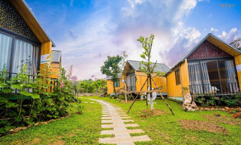 Homestay là gì? Những lưu ý khi chọn homestay!